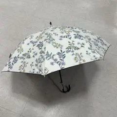 Item thumbnail for item 39895306-3fb9-4191-83d7-a7746672adea