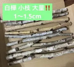 Item thumbnail for item 2d5b0f90-44b4-42f5-a6d4-d44ec4ceecfa