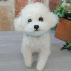 Item thumbnail for item 85c91cc3-f553-4fad-818f-dca6437c5c72