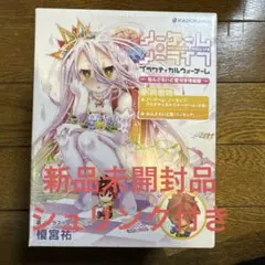 2025年最新】ノーゲーム・ノーライフ プラクティカルウォー