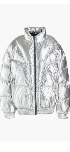 isabel marant シェル加工シルバーダウン size34