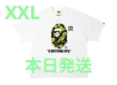 Item thumbnail for item 00110309-9cce-4ae9-b3ed-2b9a5989f356