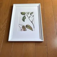 植物アート ホワイトフォトフレームA
