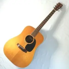 Kawai 河合楽器 アコースティックギター アイボリー 花デザイン 2025年最新】河合楽器製作所 ギターの人気アイテム - メルカリ