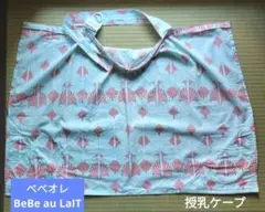 Item thumbnail for item 9b9ec402-e477-4483-9e97-e03a44b4cffa