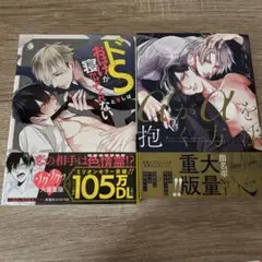 ときしば　ドSおばけが寝かせてくれない & αがαを抱く方法