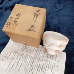 【新品未使用】絵 唐津 向付 五客 雅山窯 中島正雄 桐箱入り Yahoo!オークション -「中島正雄」(美濃) (日本の陶磁)の落札