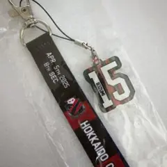 北海道コンサドーレ札幌4/5 徳島ヴォルティス戦 ボンフィン 家泉 怜依