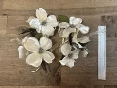 Item thumbnail for item 37cd0366-cc7c-439f-bb6d-c845f2975521