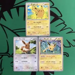 ポケモンカード　XY　３種　ピカチュウ　ほっぺすりすり　イーブイ　サンダース