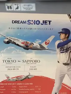 2025年最新】DREAM sho jetの人気アイテム - メルカリ