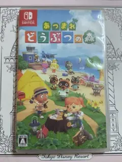 あつまれどうぶつの森 ソフト