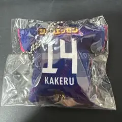 舩木翔 セレッソ大阪
