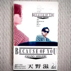 天野滋　BECAUSE OF YOU 希少レアカセットテープ　美品