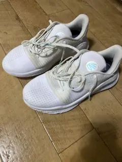 curry4 フロトロ flotro海外限定カラー　バッシュ