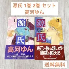 源氏 1巻 2巻 セット 高河ゆん