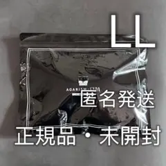 新品 AGARISM×GYDA アップミースタイリングブラ LLサイズ E9