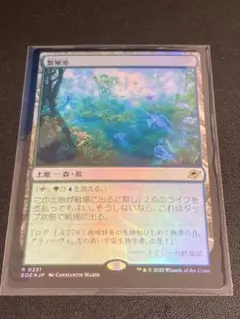 【MTG】繁殖池【緑/青/土地/R/0251/EOE/JP/foil】