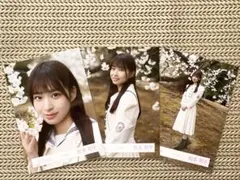 櫻坂46 松本和子　12th制服　4種コンプ