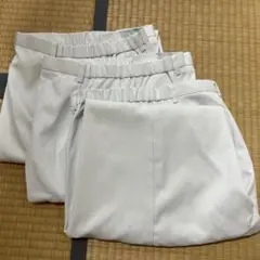 Item thumbnail for item 876142ba-e0d3-4d4c-9ba4-6202dd51233c