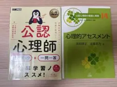 心理的アセスメント 公認心理師　要点ブック＋一問一答