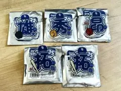 中日ドラゴンズ シークレット　アクリルネームバッジ　クリアバッジ