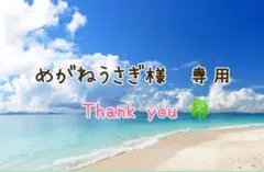 めがねうさぎ様　専用