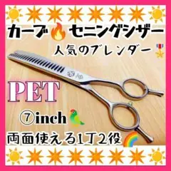 Item thumbnail for item ac901581-aeb3-4216-87a8-874a9d79d91d
