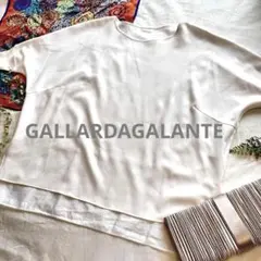 美品GALLARDAGALANTE ハーフジョーゼットコンビブラウスノームコア