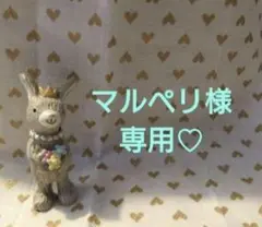 専用♡ジャムラボキウイ♡ポーチ♡