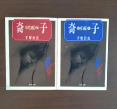 奇子【文庫】 上下セット 手塚治虫