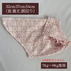 Item thumbnail for item a46732e7-02ed-4a38-8cd3-024ce1140a0c