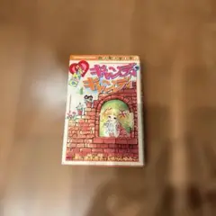 キャンディ♥️キャンディ 全10巻セット