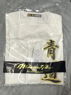 MIZUNO - ダイヤのA 青道高校 ユニフォーム 御幸一也 【専用】の