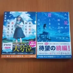 君とまた出会えたら / あの星が降る丘で君とまた出会いたい