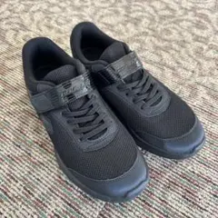 Item thumbnail for item 259dcecd-a017-41fa-8b7f-dc5ba13a7a6b