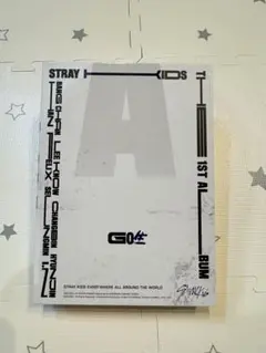 Stray Kids 1st Album GO生