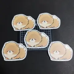 Item thumbnail for item fd534225-4dac-4ccc-b26a-0c559e43fd7f