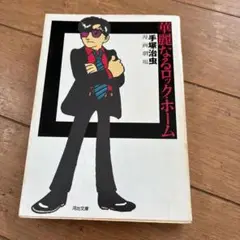 華麗なるロック・ホーム