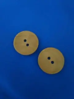 Item thumbnail for item 019d1616-2d86-48d6-b2ff-f508420b49d5