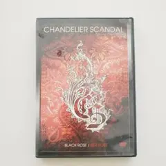 Item thumbnail for item 88eb5677-f0c4-45cf-9678-2ebdc09d5a98