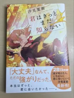 君はきっとまだ知らない