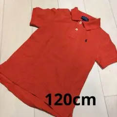 Item thumbnail for item 455ed767-2eea-4912-9160-53518d81885f