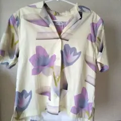 Item thumbnail for item 5eff0737-a9bb-4954-8244-943604cf0915