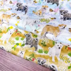 【オリジナル生地】秋田犬　仔犬　2種類