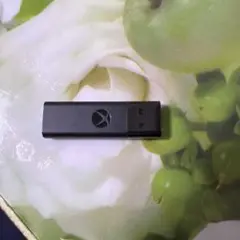 Item thumbnail for item 71c70f4e-ed9c-4471-899c-a41a409cdaa4