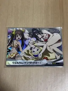 【送料無料】ファイブクロス　ウェルカム・イン・ザ・サマー！
