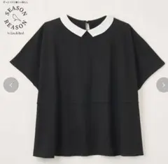 LLサイズ しまむら SEASON REASON 白襟付き 半袖 新品未使用