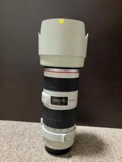 Item thumbnail for item b4d20e43-75e0-4e0f-913d-4172dc7cbd04