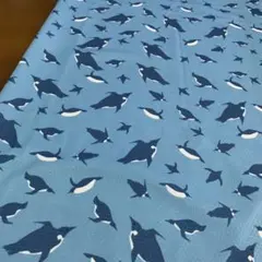 クール生地　ウォータークールクロス　イルカ柄　ブルー　53cm×68cm